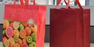 BOPP Non Woven Bags