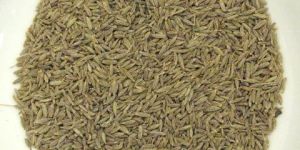 Cumin Seeds