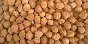 Kabuli Chickpeas