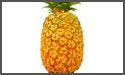 Fresh Pineapple