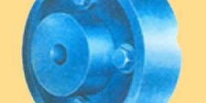Flexible Coupling