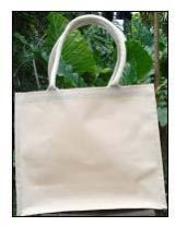 Laminated Canvas Bag