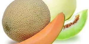 Fresh Melon