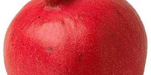 Fresh Pomegranate