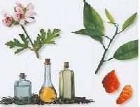 Aromatherapy Oils