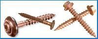 Copper Fasteners