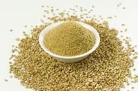 Dry Coriander Powder