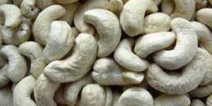 Plain Cashew