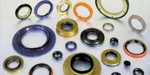 Rubber Oil Seals