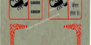 Paper Lifafa - Gutka Lifafa, Kheni Pouch, Pan Masala Satchet