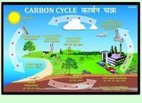 Electronic Teaching Aid