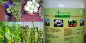 Natural Organic Fertilizer