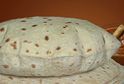 Puran Poli
