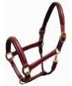 Horse Halters