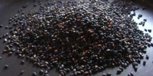 Black Sesame Seeds