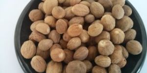 Nutmeg