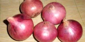 Pink Onion