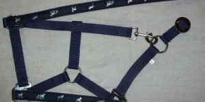 Economy Halter