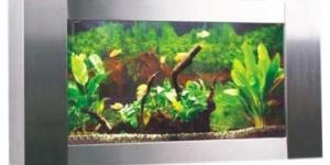 Wall Aquarium