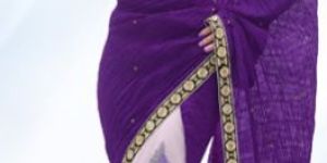 Net Saree With Blouse