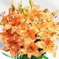 Orange Lily Bouquet