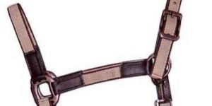 Horse Leather Halters