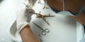 Biology Lab Instruments