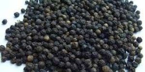 Black Pepper Seeds