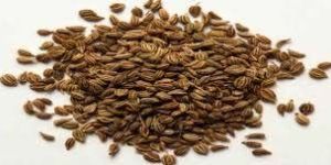 Carom Seeds