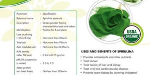 Spirulina Powder
