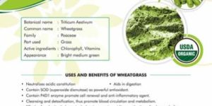 Wheatgrass Powder