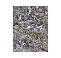 Jawala Fish Meal