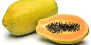 Fresh Papaya