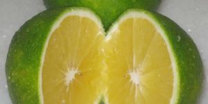 Fresh Sweet Lime