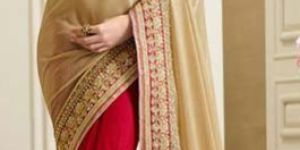 Net Fancy Saree