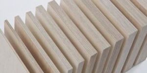 Birch Plywood