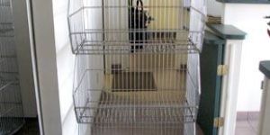 Zinc Plated Trolleys