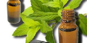 Spearmint Oil