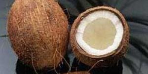 Fresh Coconut