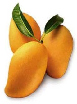 Fresh Mango