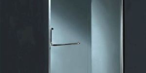 Shower Partition