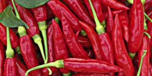 Red Chillies