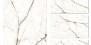 Printed Glazed Vitrified Tiles