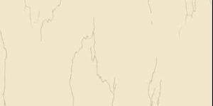 Vitrified Soluble Salt Tiles