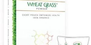 Wheatgrass Powder