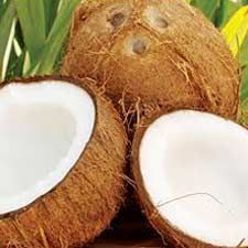 Fresh Coconut