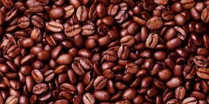 Coffee Beans 03