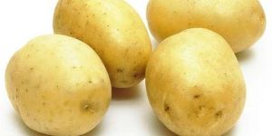 Fresh Potatoes