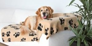 Dogs Blankets