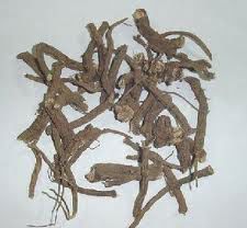 Coleus Forskohlii Root